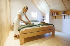 HBF_Alpine_cottage-AR014-1
