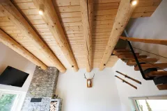 HBF_Alpine_cottage-AR037-1